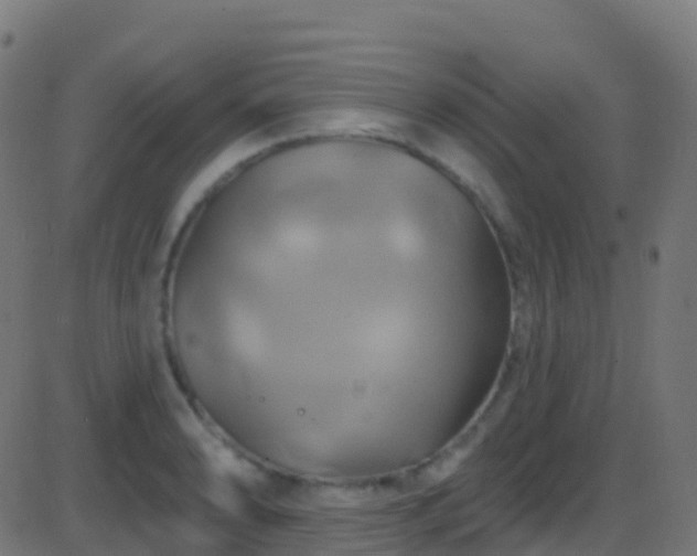 X0000086221086200704051234