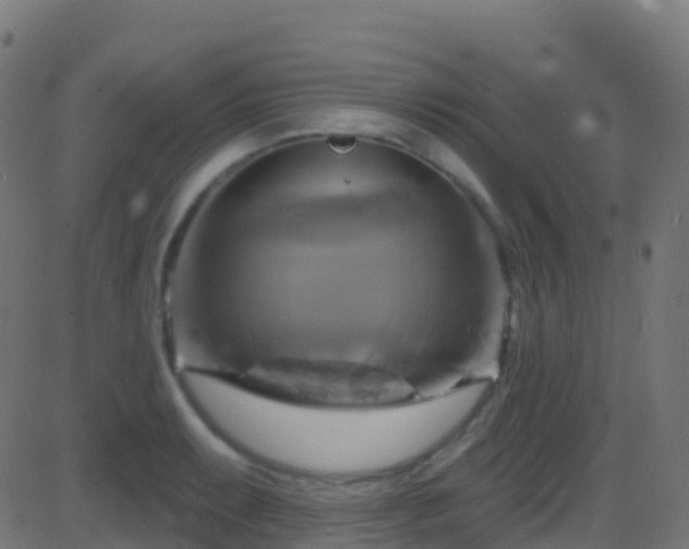 X0000086221087200704051234