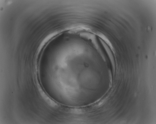 X0000086221088200704051234