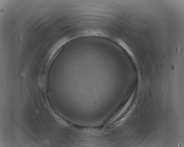 X0000086221089200704051234