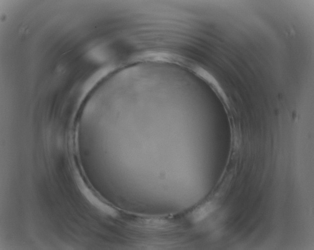 X0000086221090200704051234