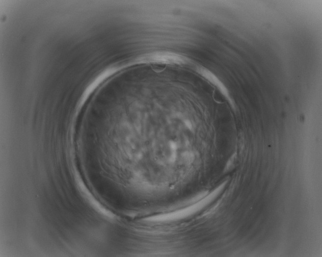 X0000086221091200704051234