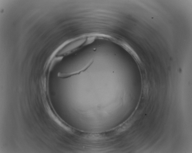 X0000086221092200704051234