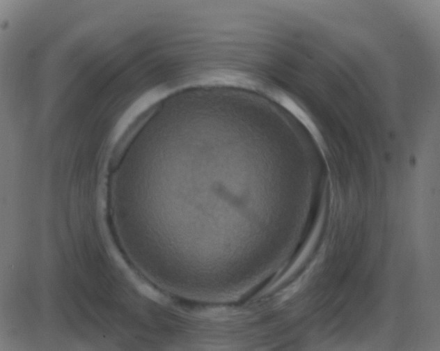 X0000086221093200704051234