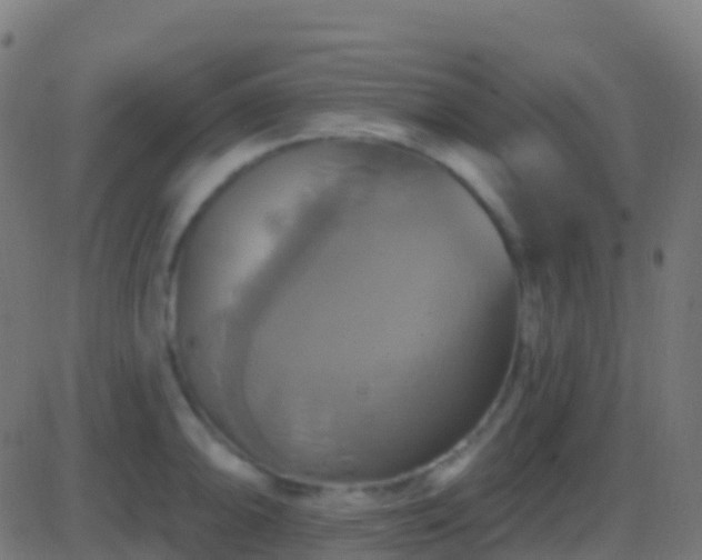 X0000086221094200704051234