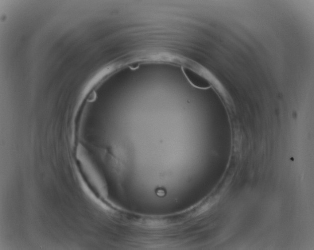 X0000086221095200704051234