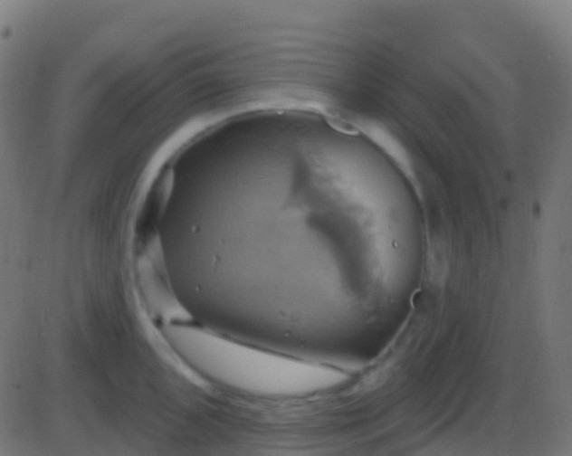 X0000086221096200704051234