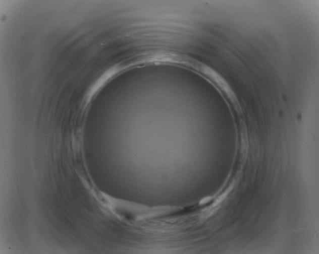 X0000086221097200704051234