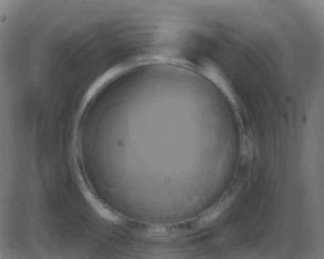 X0000086221098200704051234