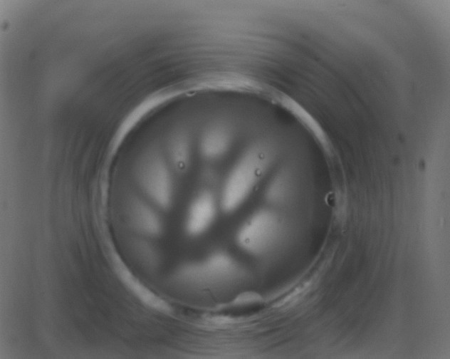 X0000086221099200704051234