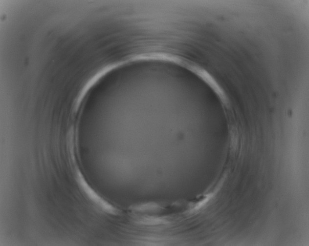 X0000086221100200704051234