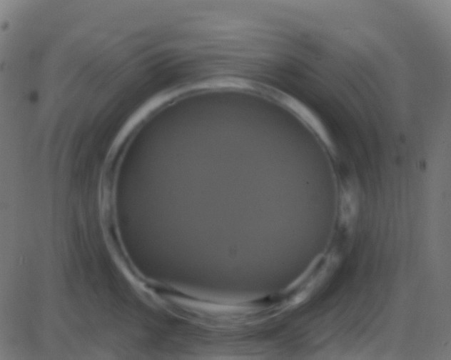 X0000086221101200704051234