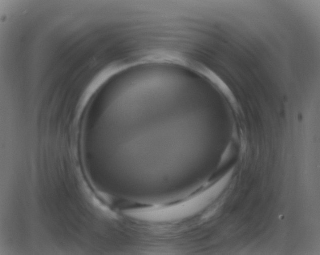 X0000086221102200704051234