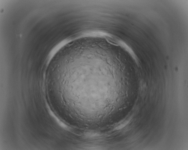 X0000086221103200704051234