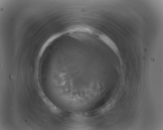 X0000086221104200704051234