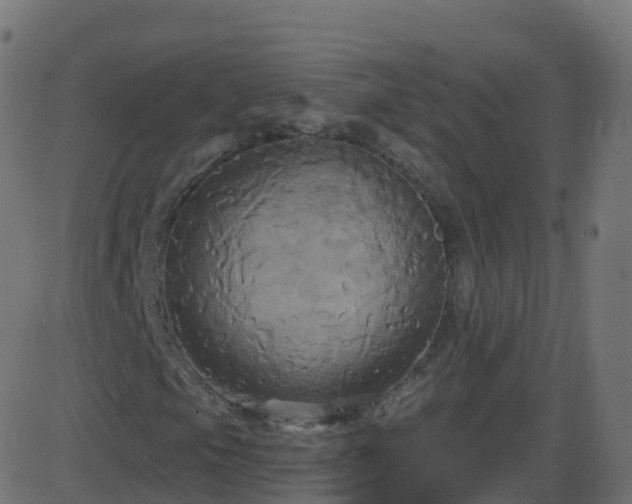 X0000086221105200704051233