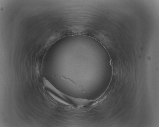 X0000086221106200704051233