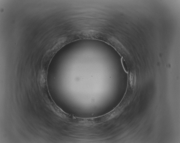 X0000086221107200704051233