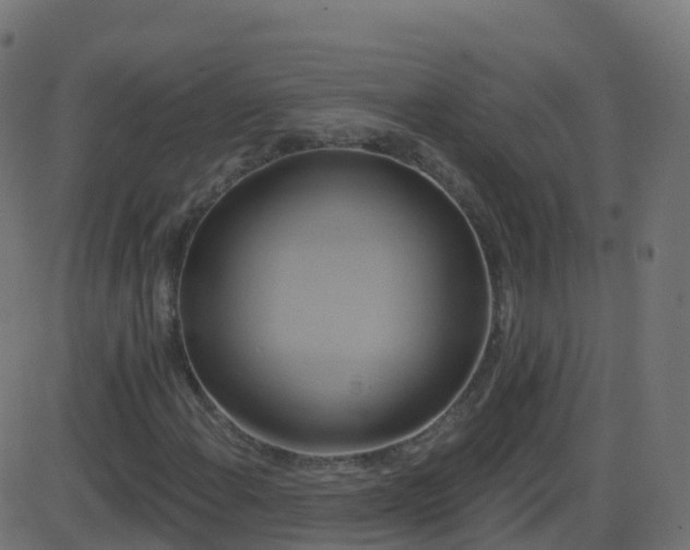 X0000086221108200704051233