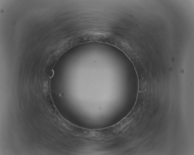 X0000086221109200704051233