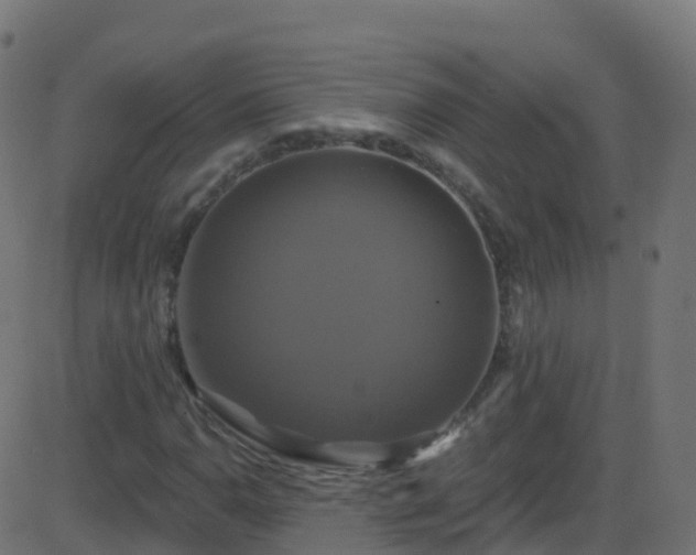 X0000086221110200704051233