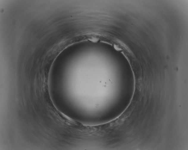 X0000086221111200704051233