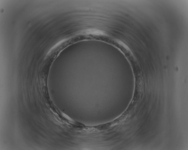 X0000086221112200704051233