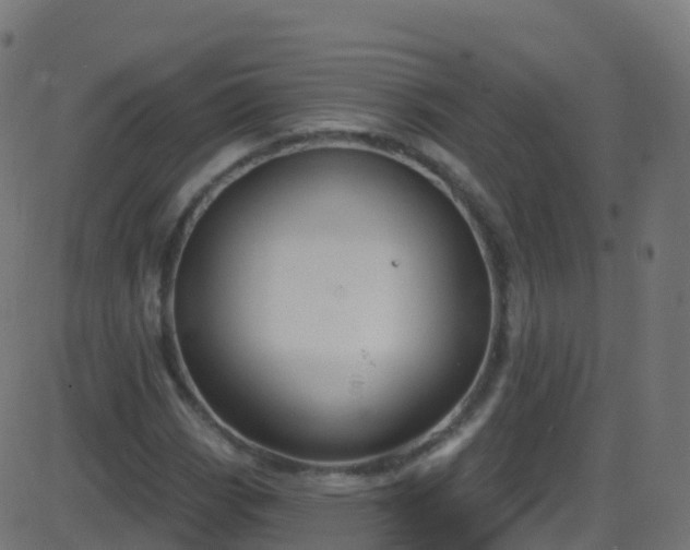 X0000086221113200704051233