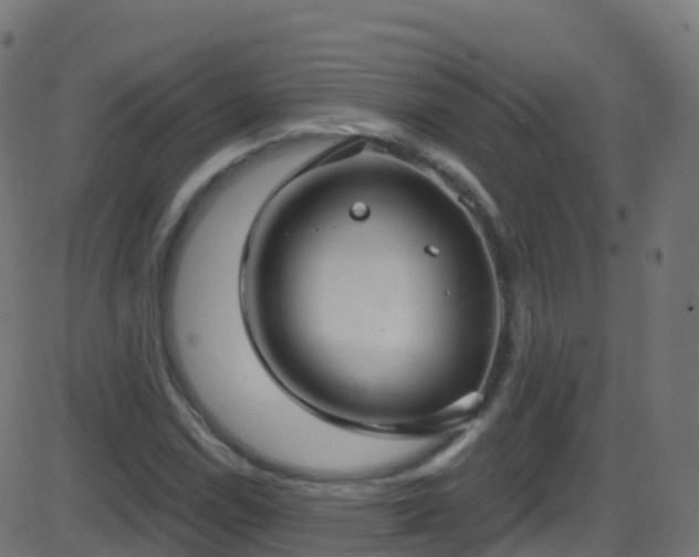 X0000086221114200704051233