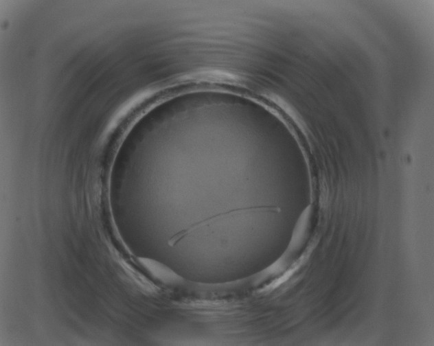 X0000086221115200704051233