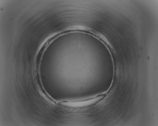 X0000086221116200704051233