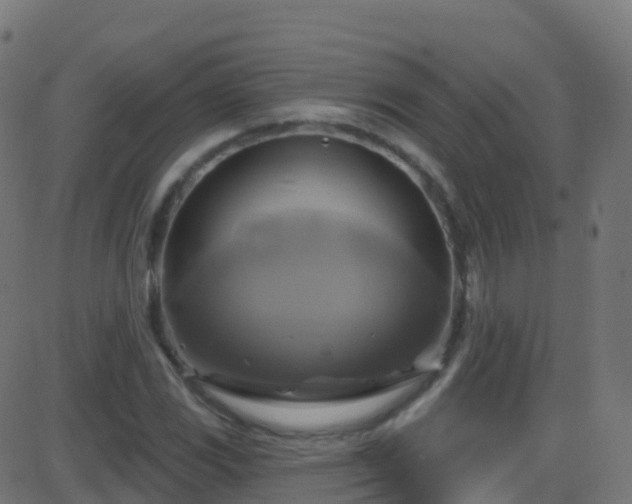 X0000086221117200704051233