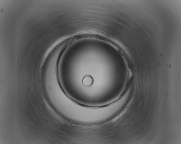 X0000086221118200704051233