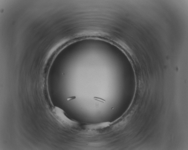 X0000086221119200704051233