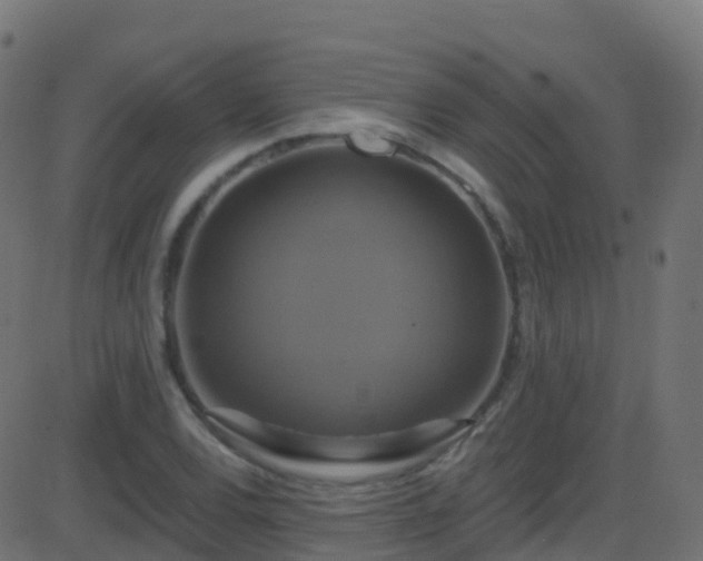 X0000086221120200704051233