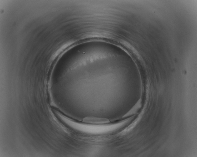 X0000086221121200704051233