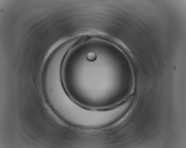 X0000086221122200704051233