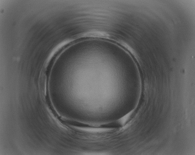 X0000086221123200704051233