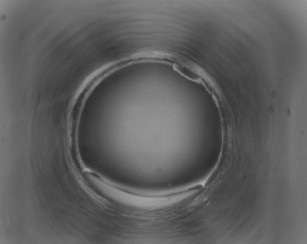 X0000086221124200704051233