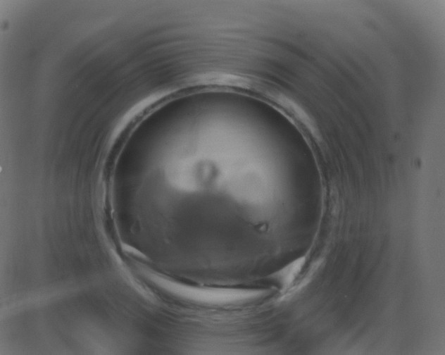 X0000086221125200704051233