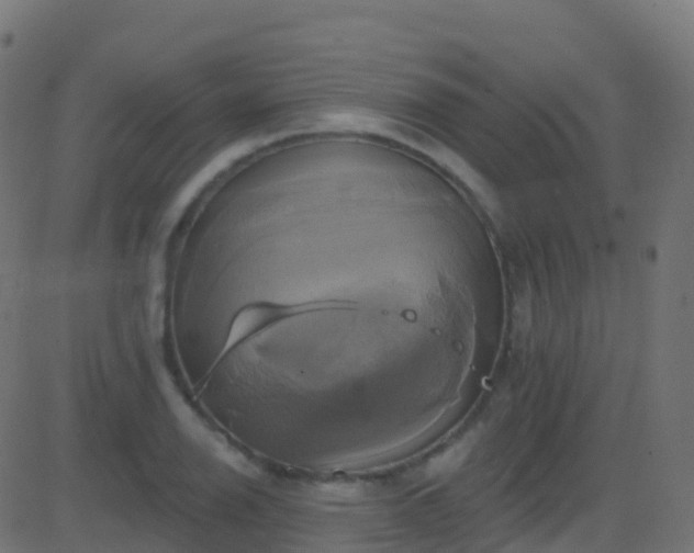 X0000086221126200704051233