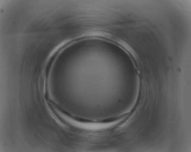 X0000086221127200704051233