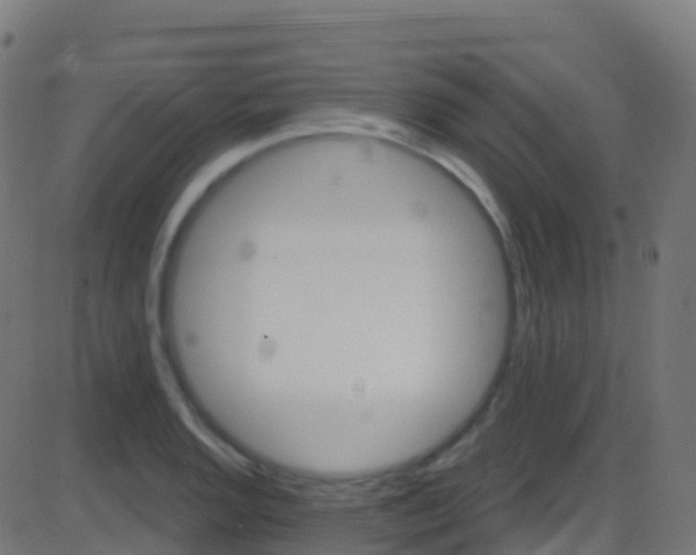 X0000086221128200704051233