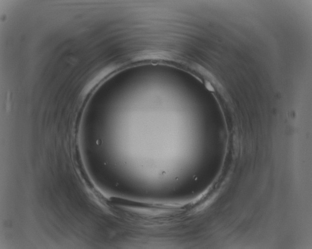 X0000086221129200704051233