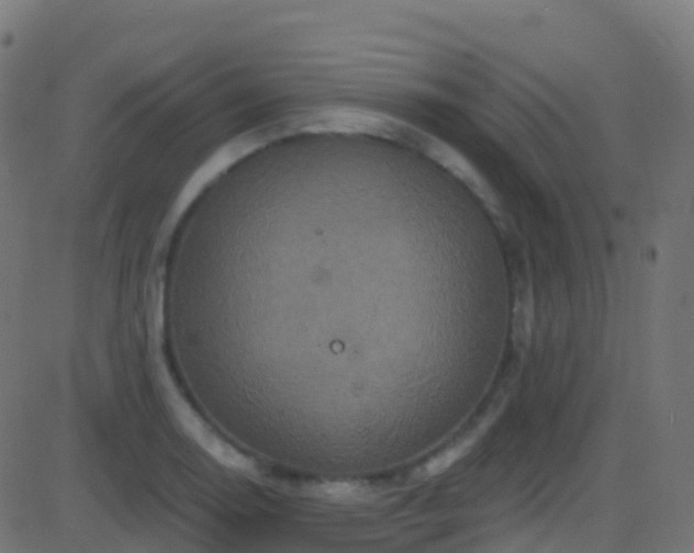 X0000086221130200704051233