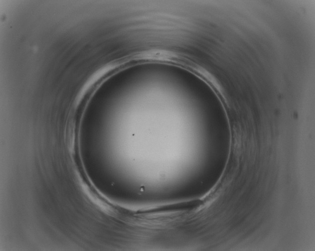 X0000086221131200704051233