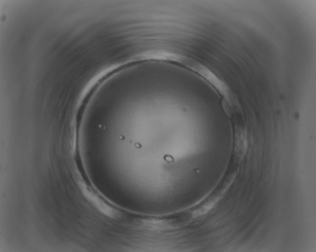 X0000086221132200704051233