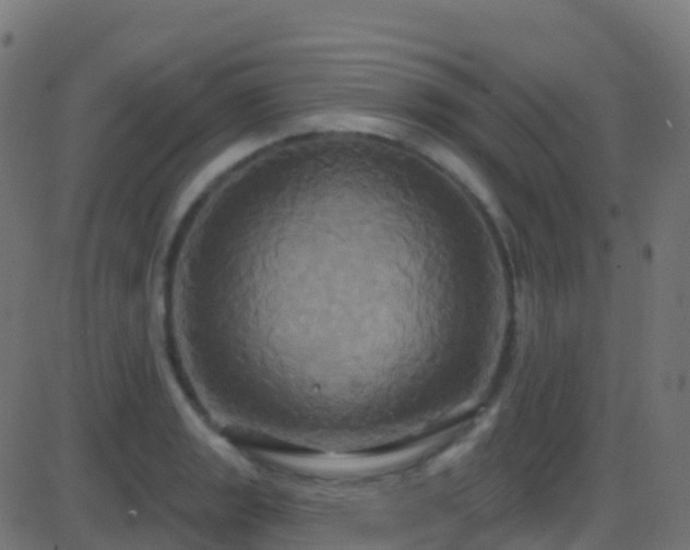 X0000086221133200704051233