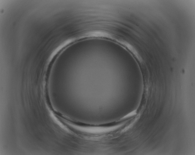 X0000086221134200704051233