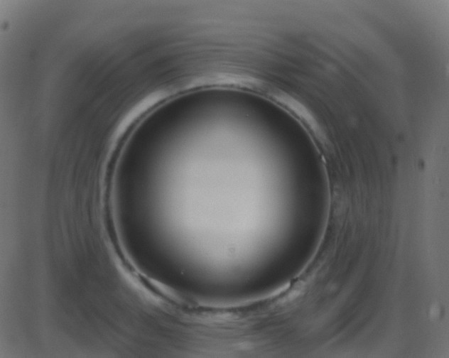 X0000086221135200704051233